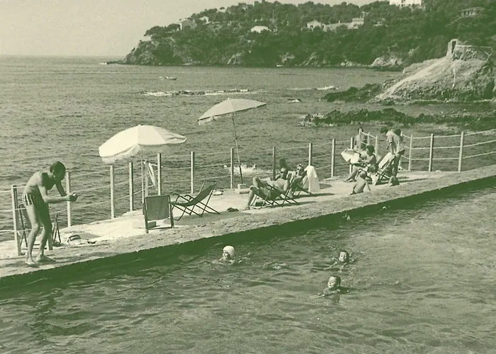 Hotel Le Provencal A Giens - Bord De Mer photo